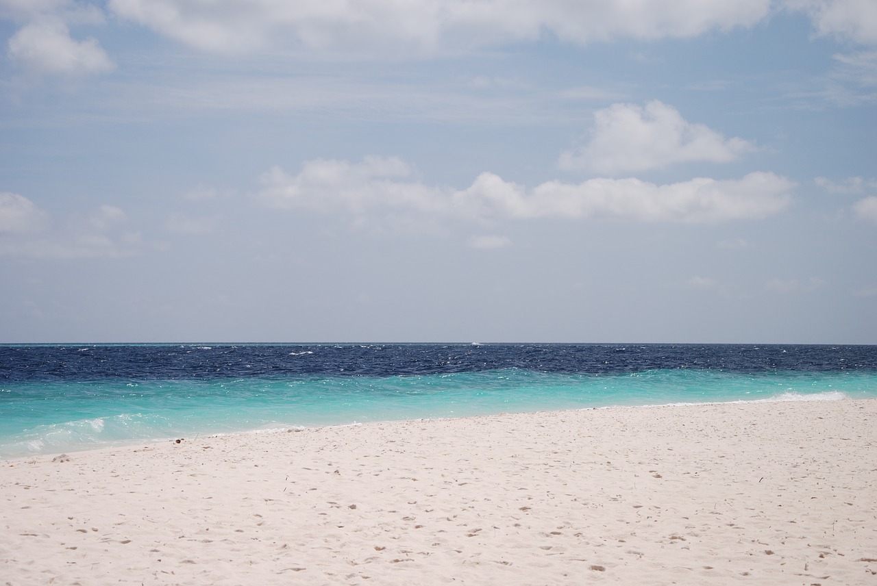 the sea maldives views free photo