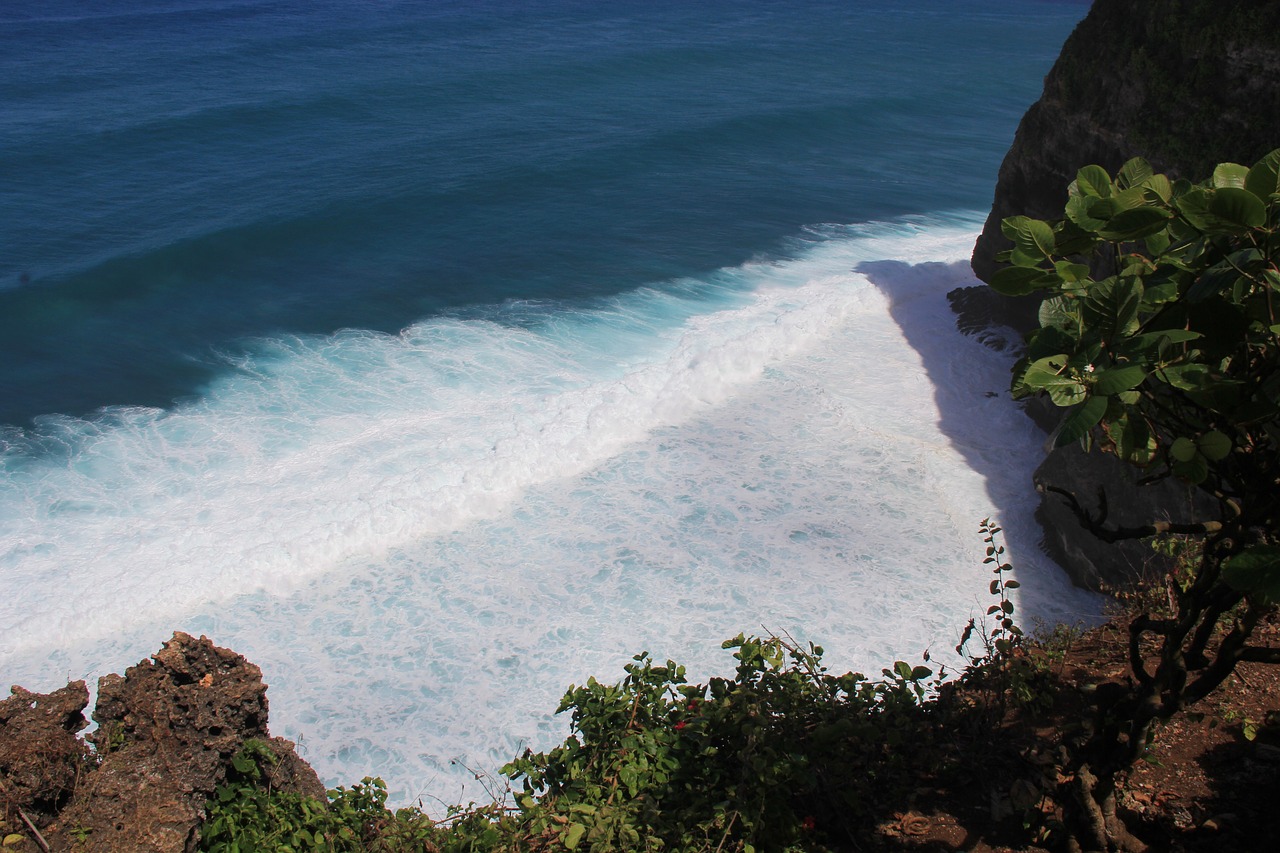 the sea  beach  cliff free photo