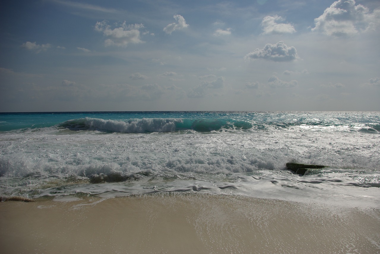 the sea waves beach free photo