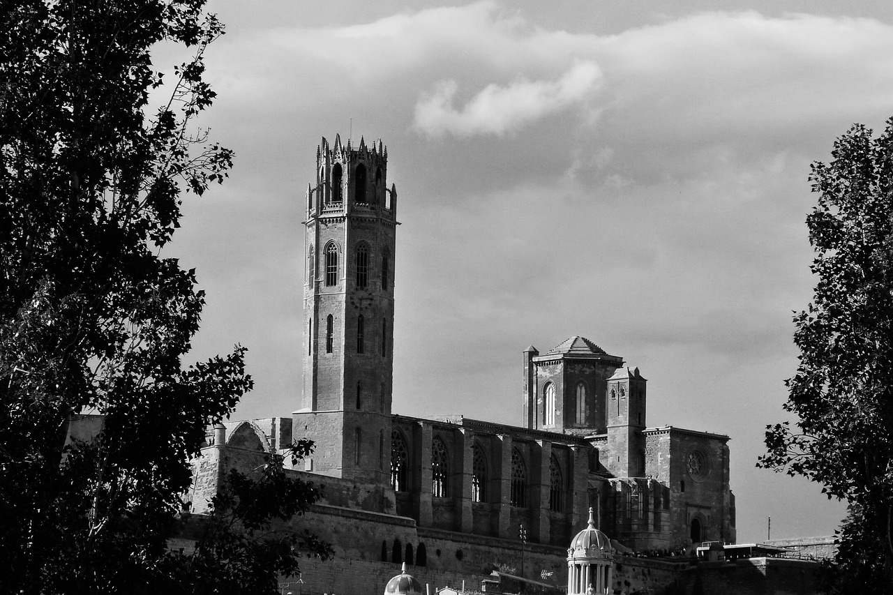 the seu vella cathedral lleida free photo