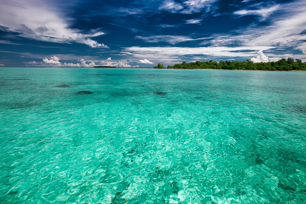 the shallow sea tropical kojima free photo