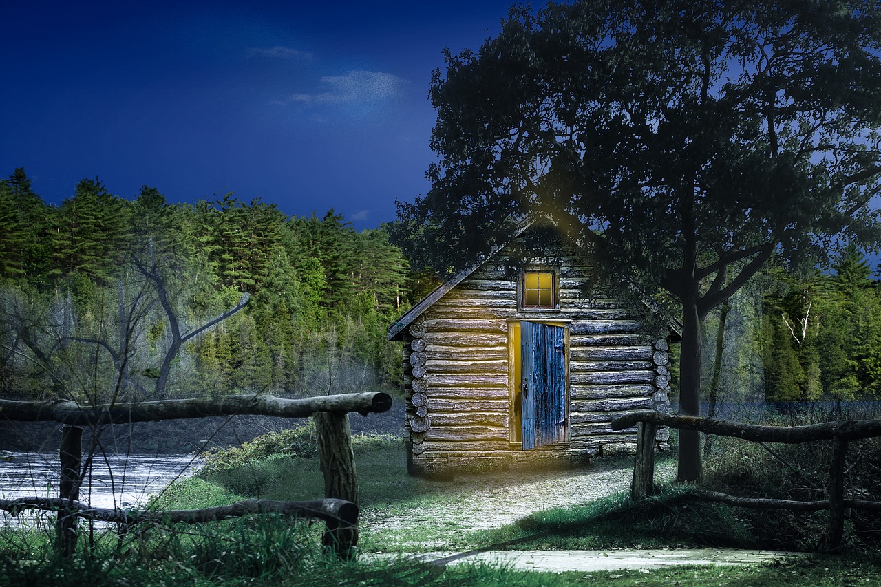 the shed  forest  night free photo