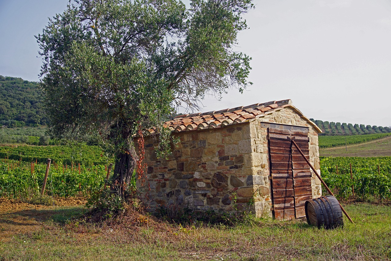 the shed  utility room  remittance free photo