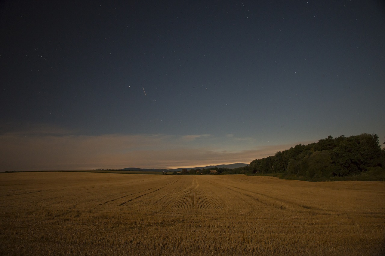 the sky night field free photo