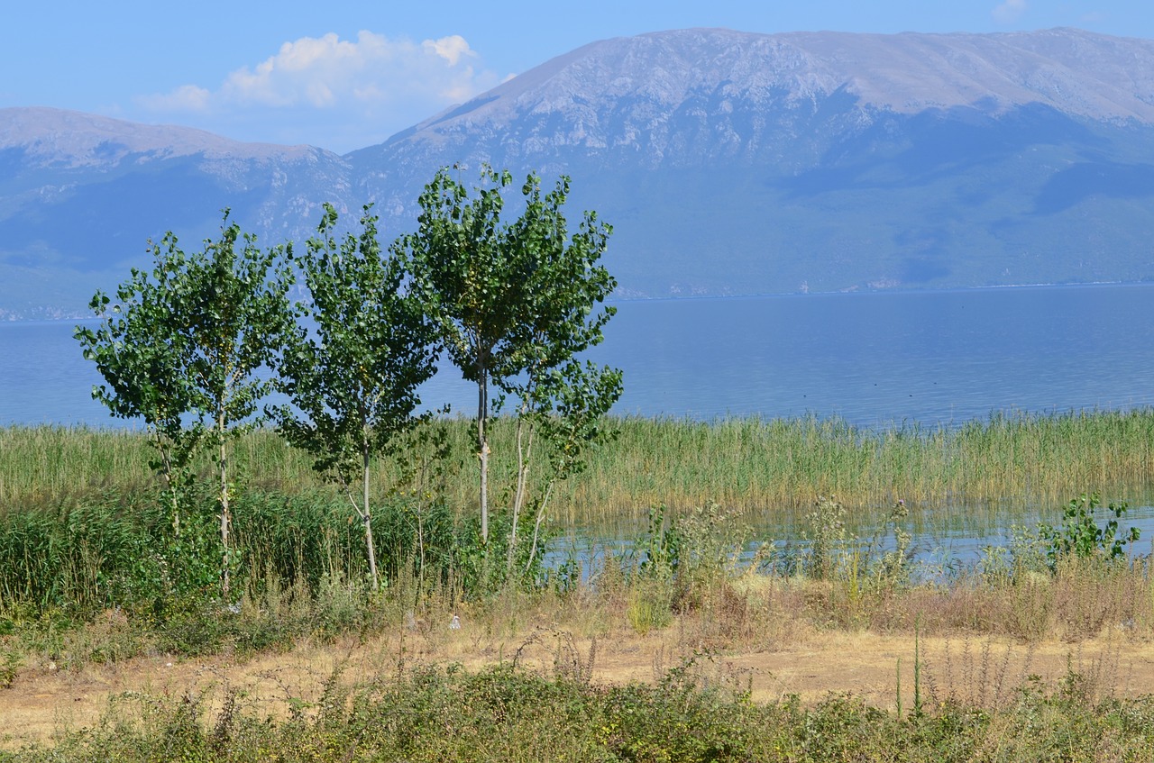 the small mountain lake lake ohrid free photo