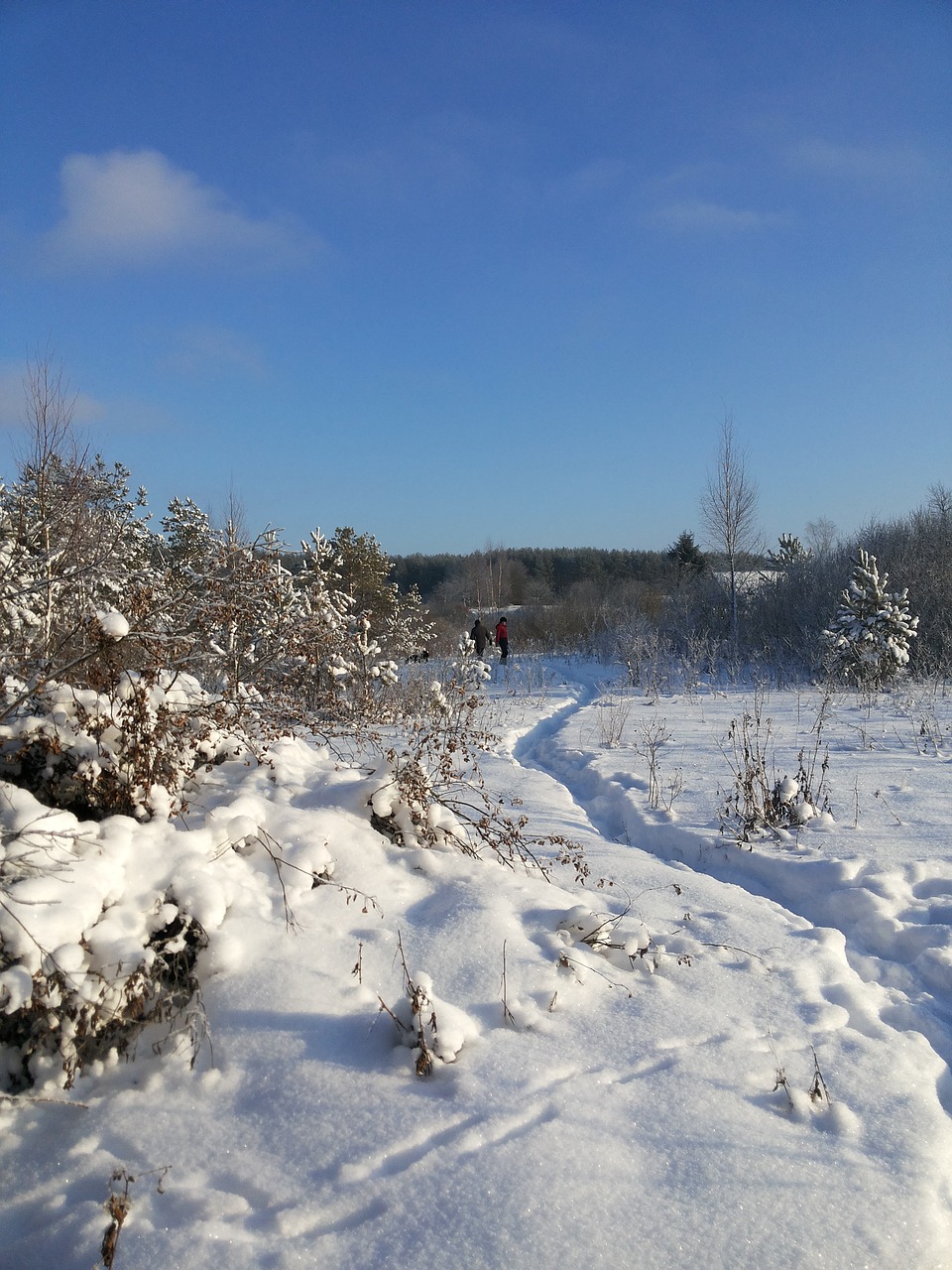 the snow-covered field snow frost free photo