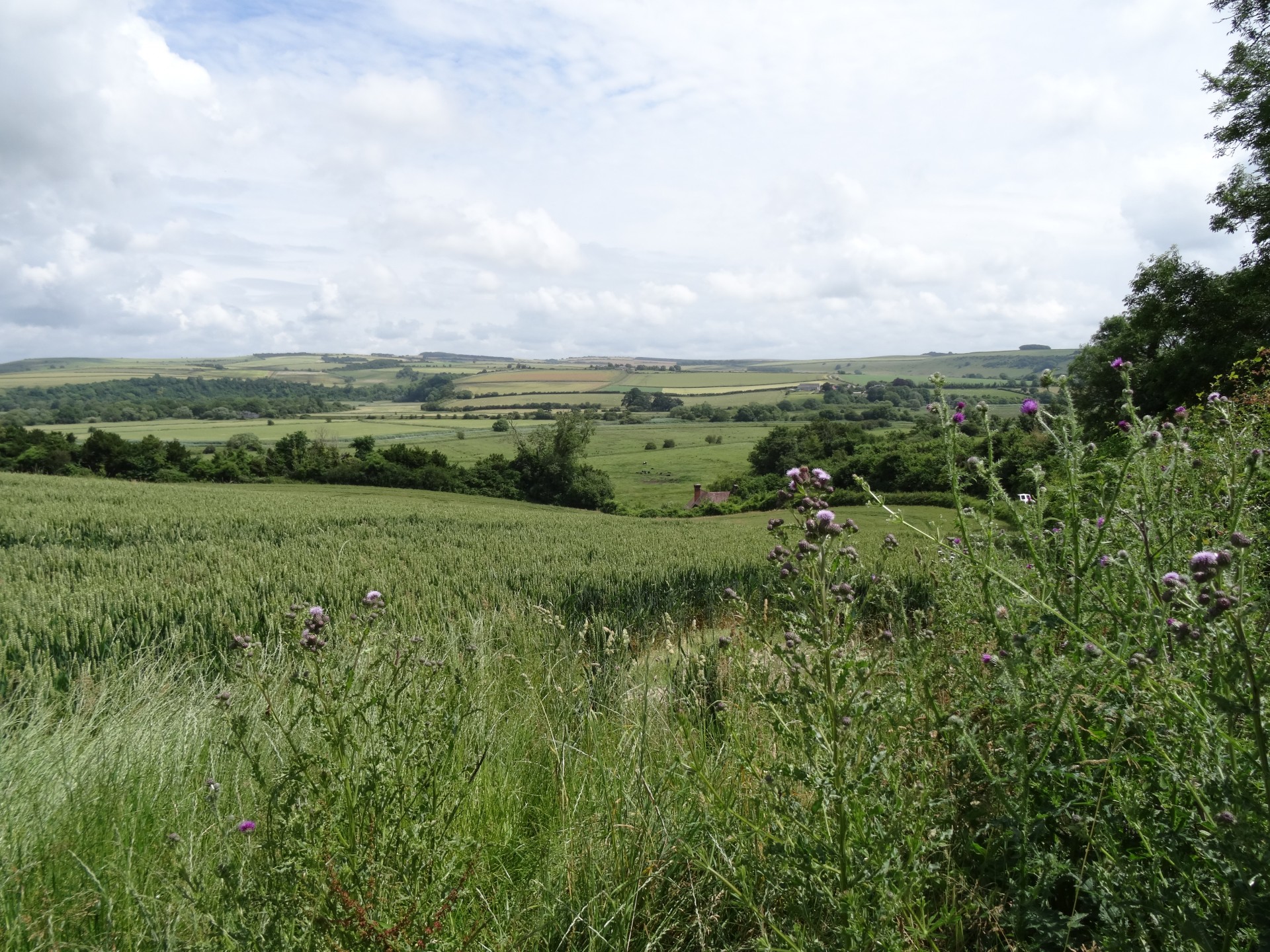 southdowns landscape english countryside free photo