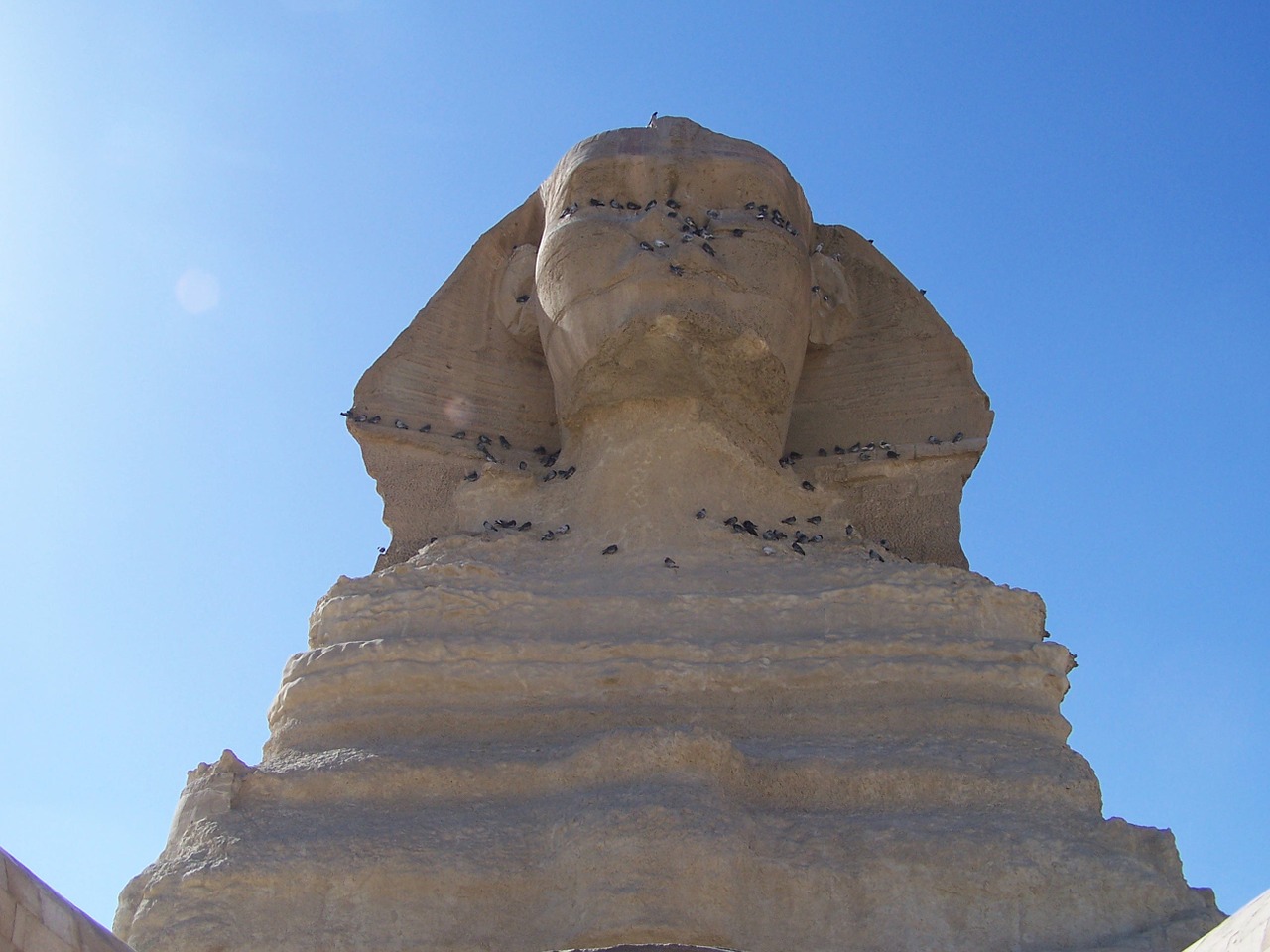 the sphinx giza egypt free photo
