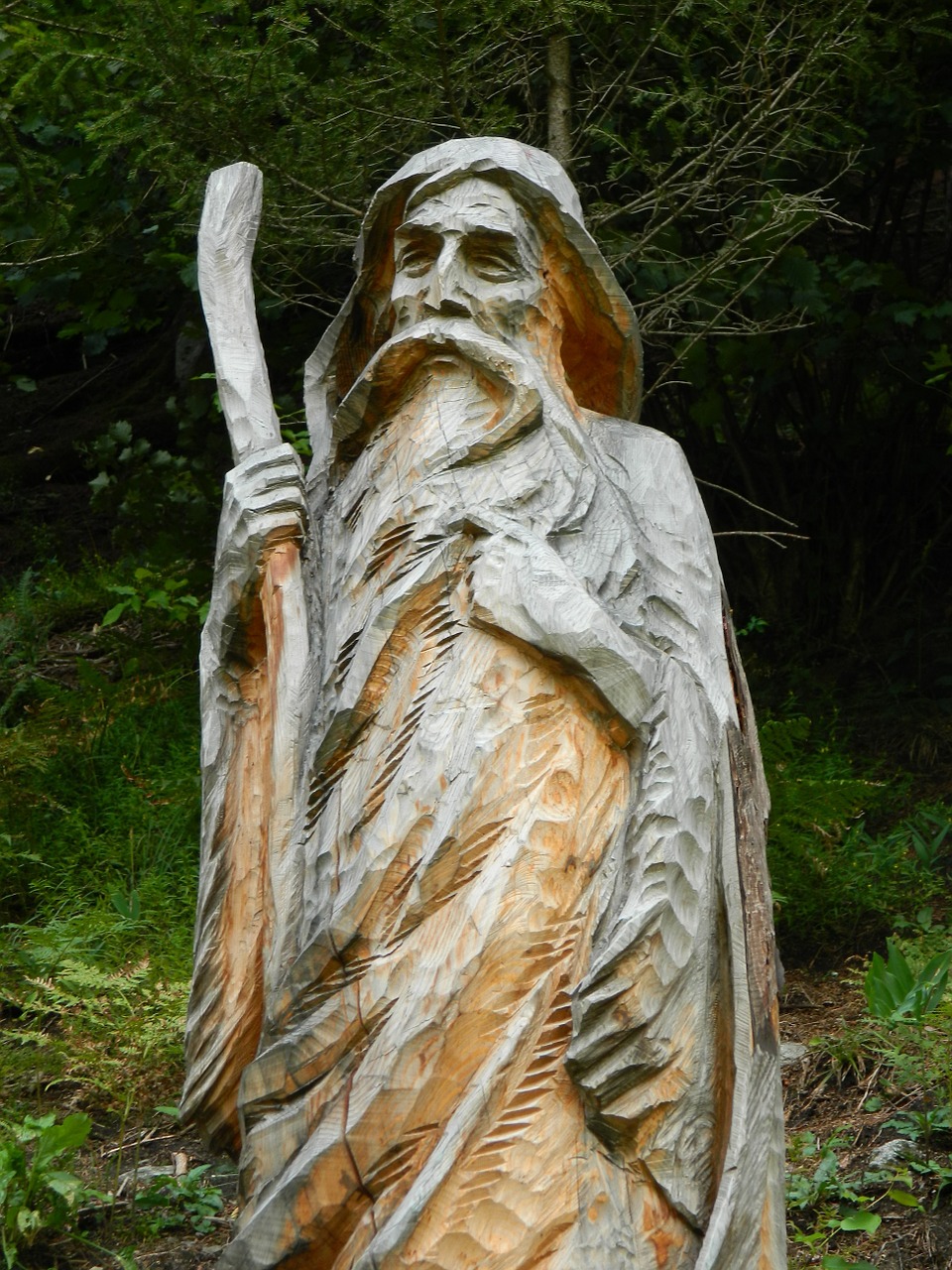 the statue of woodcarving wood free photo
