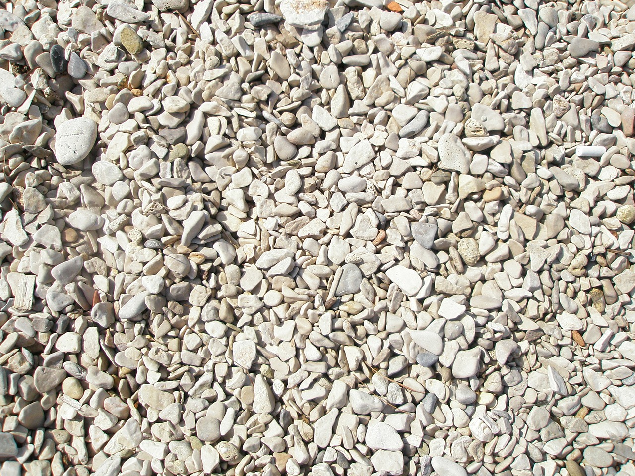 the stones pebbles beach free photo