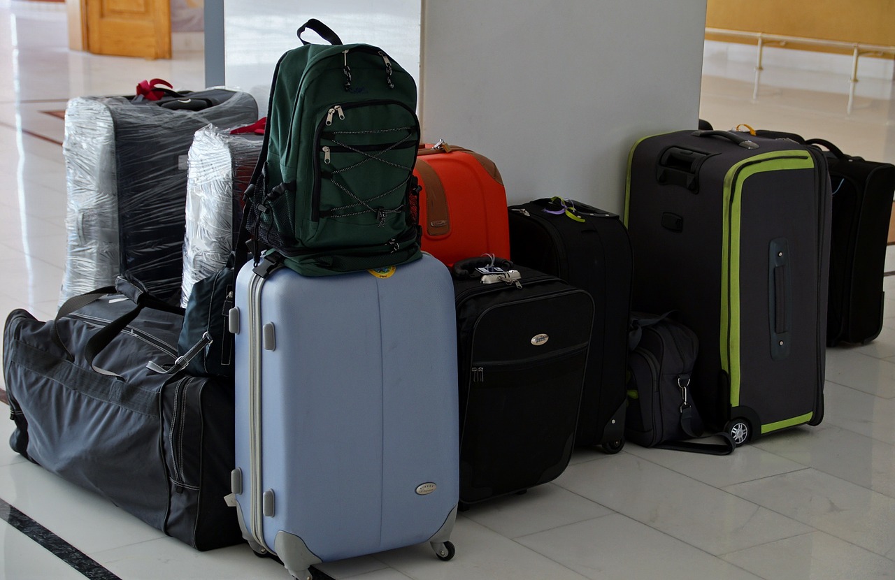 the suitcase luggage travel free photo