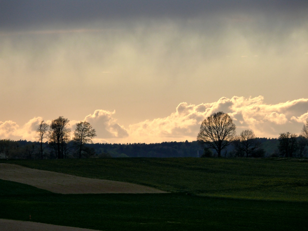 the sun afternoon spring free photo