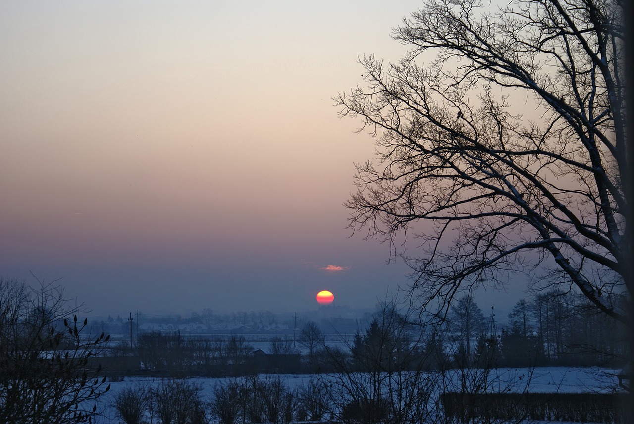 the sun dawn winter free photo