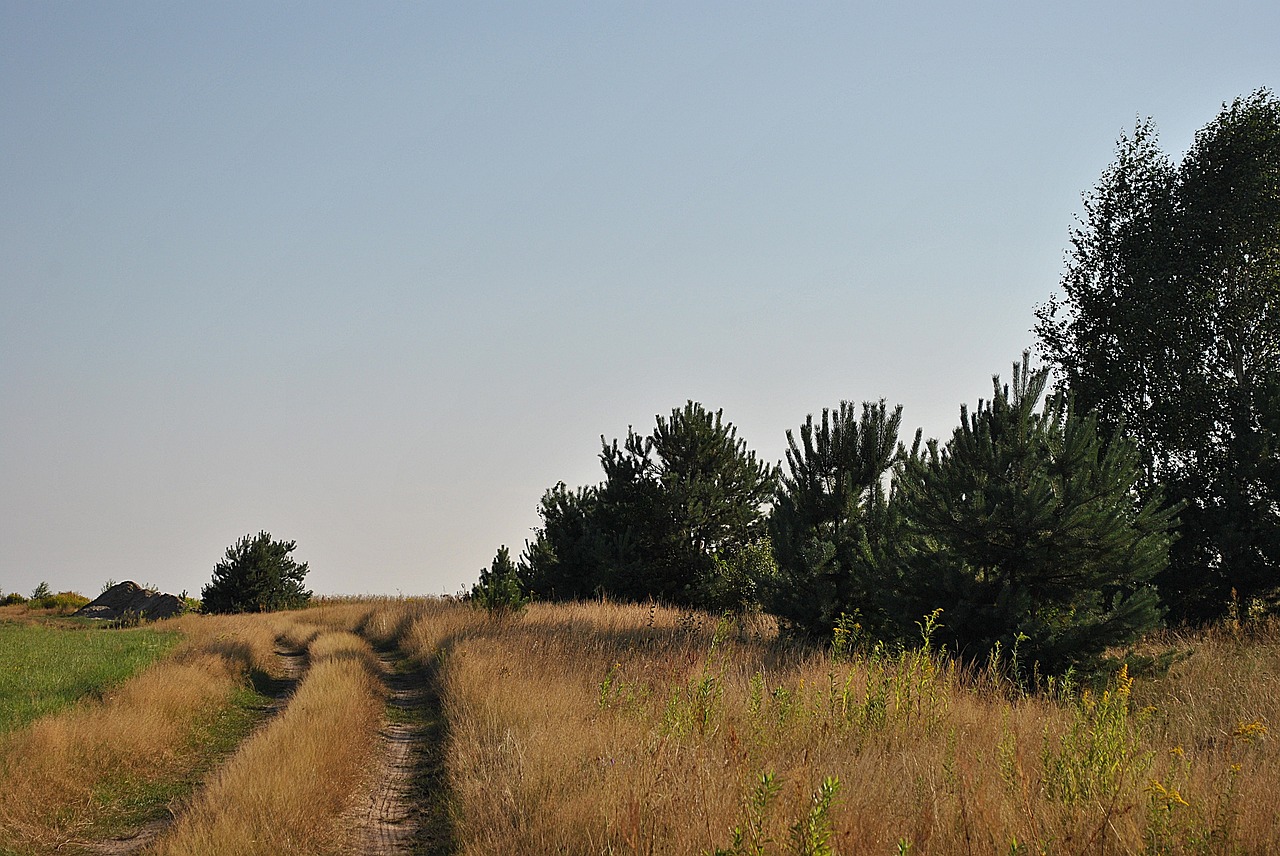 the sun weather nature free photo