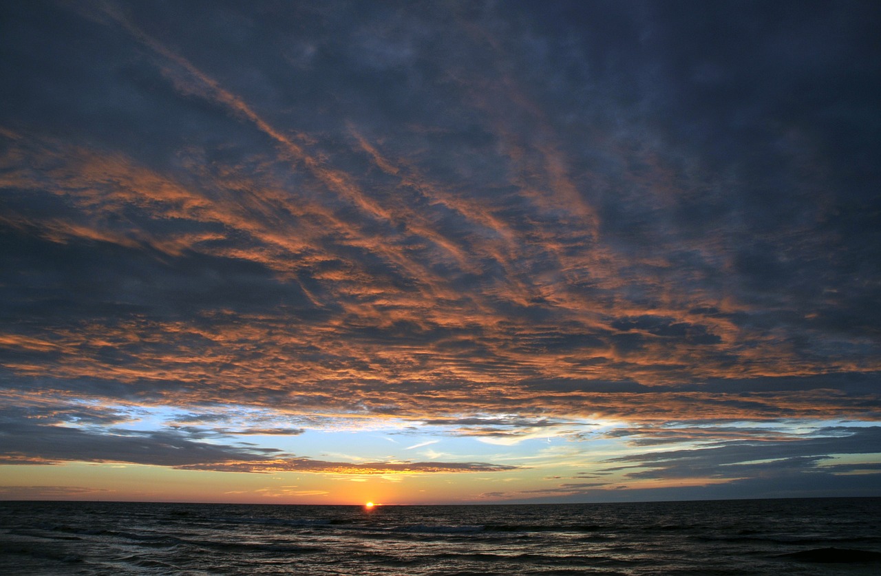 the sun beach the coast free photo