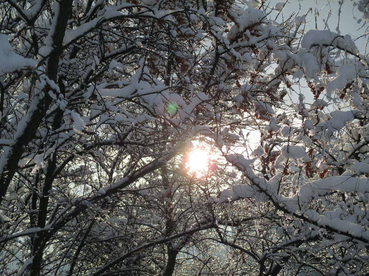 the sun winter snow free photo