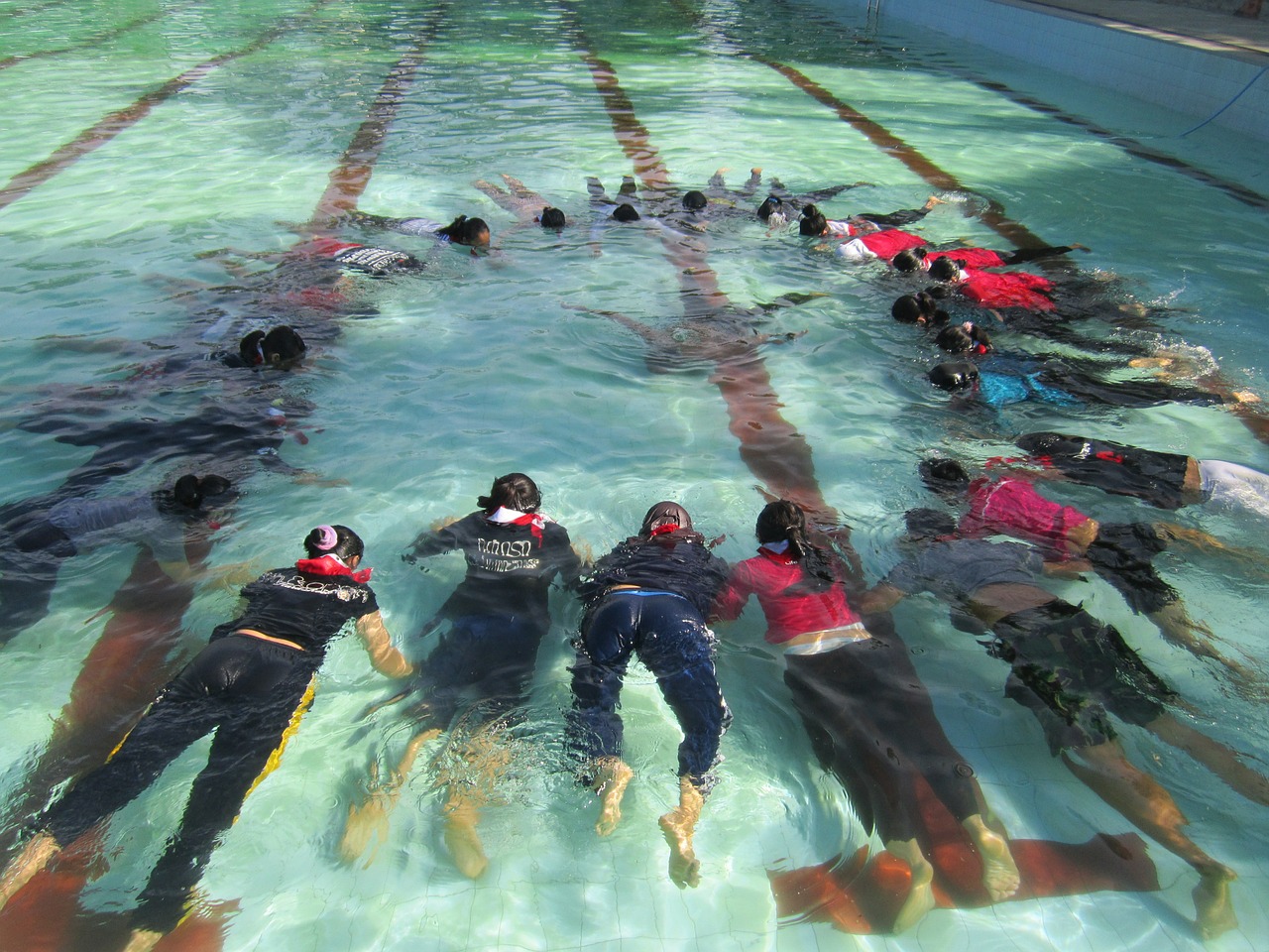 the swimming pool training dive free photo