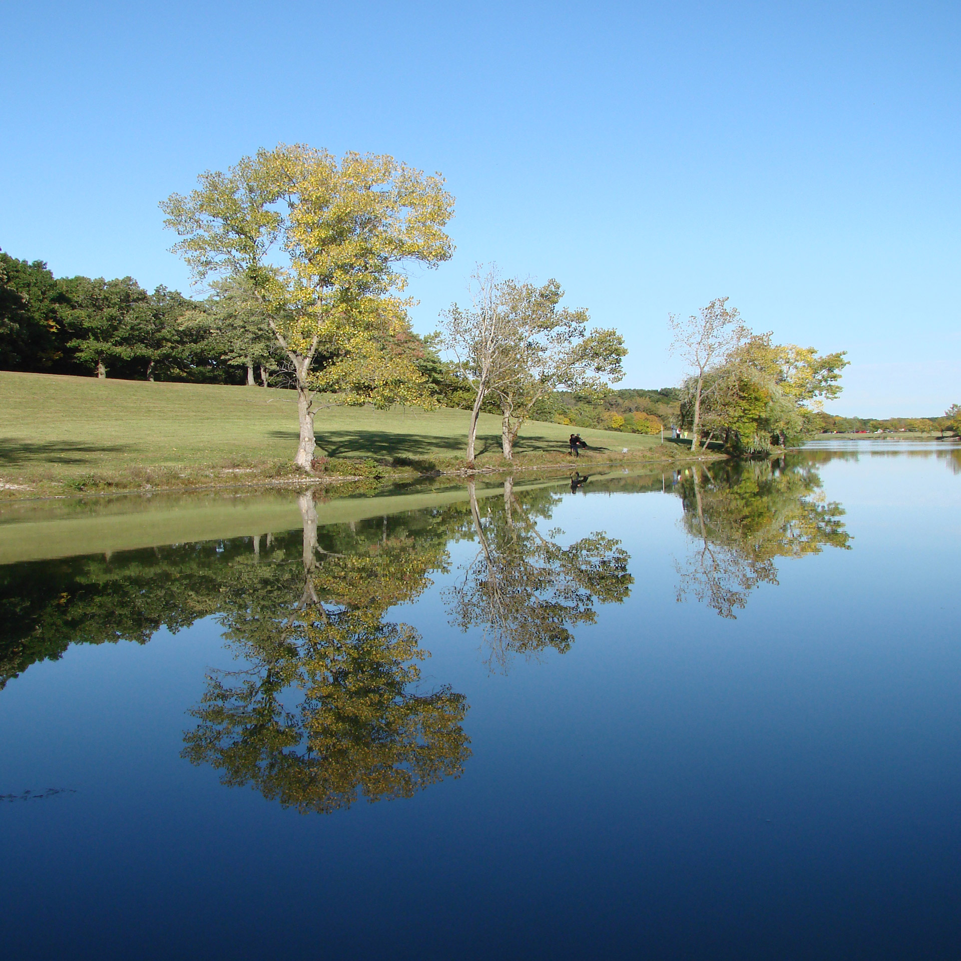 trees reflection lake free photo