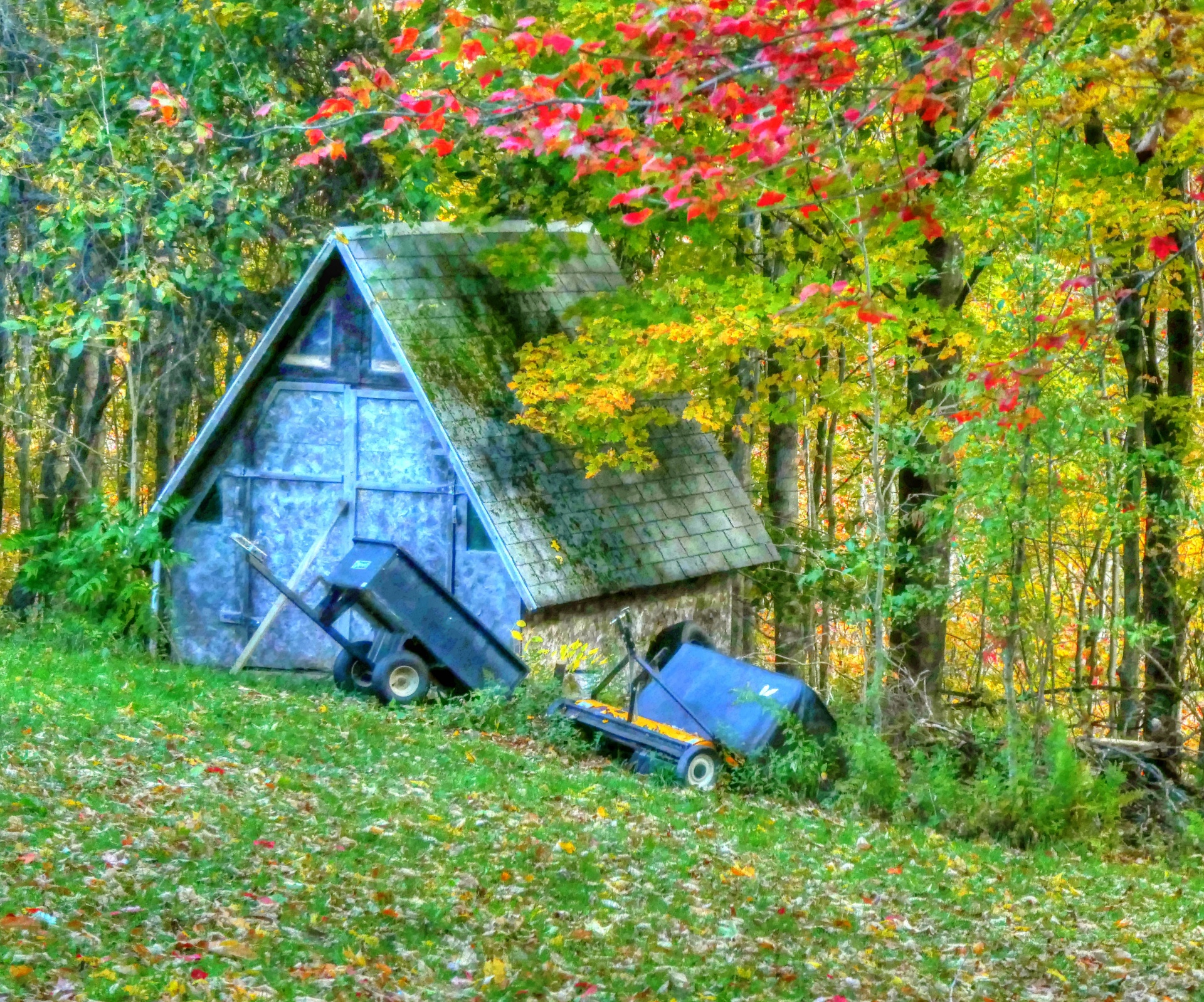 tool shed shed shack free photo
