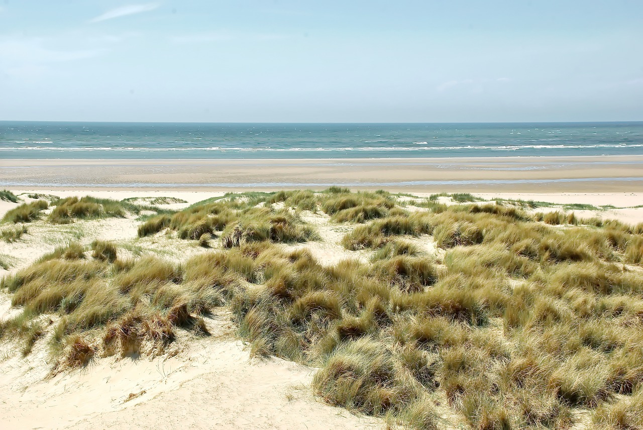 the touquet  beach  dunes free photo