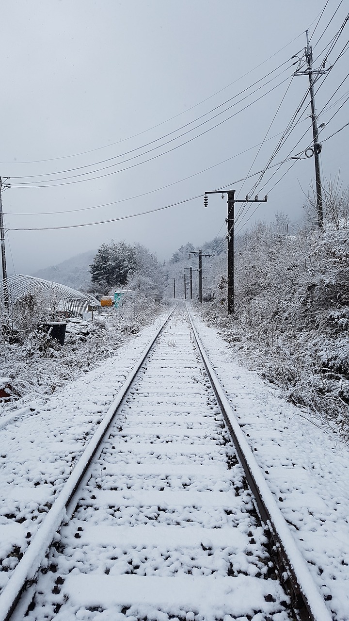 the train path  winter  snow free photo