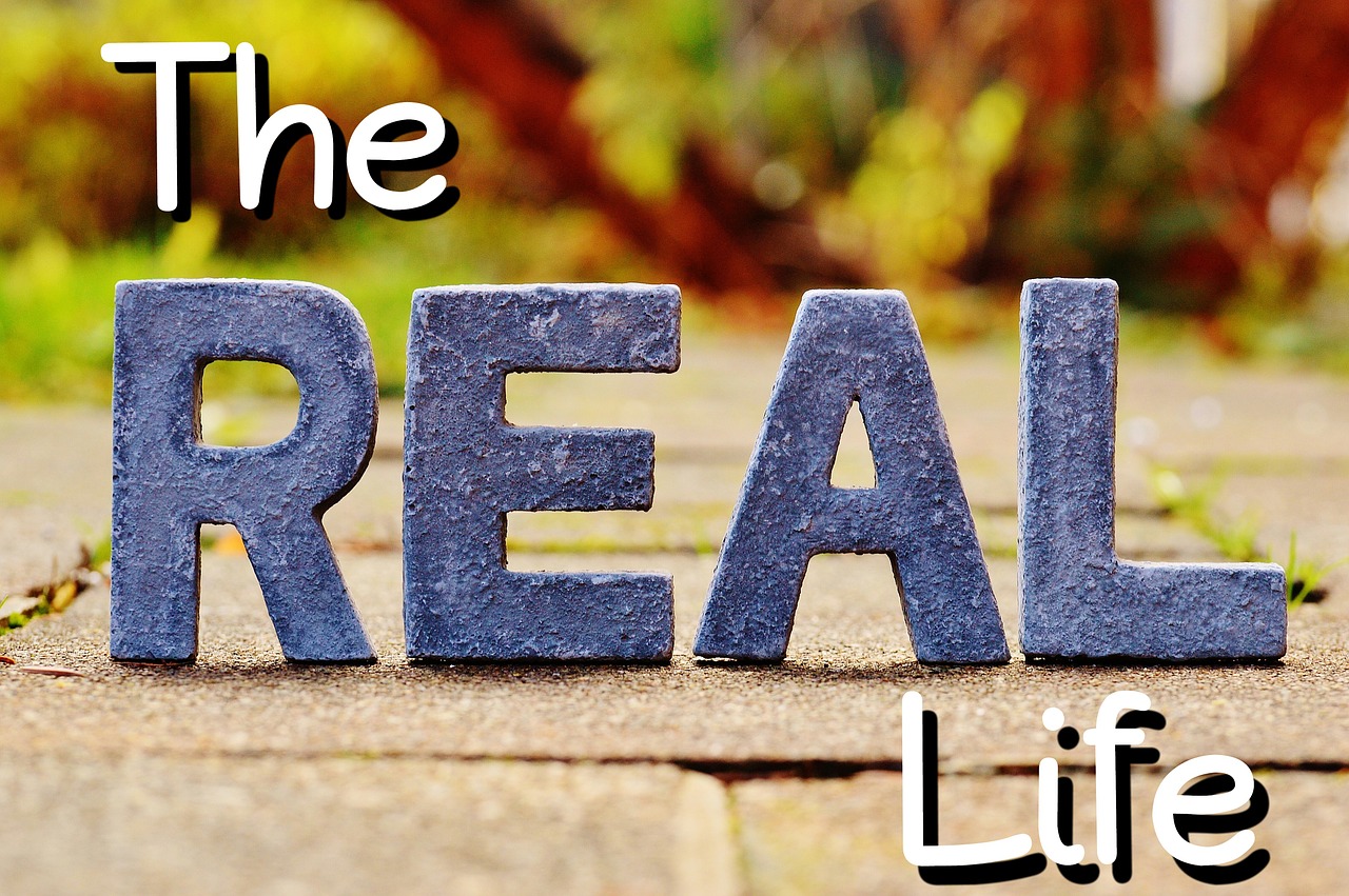 the true life reality real free photo