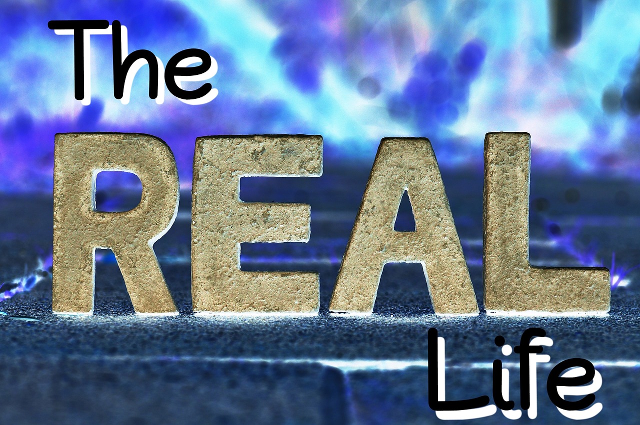 the true life reality real free photo