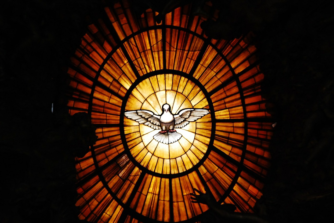 the vatican dove of peace vatican free photo