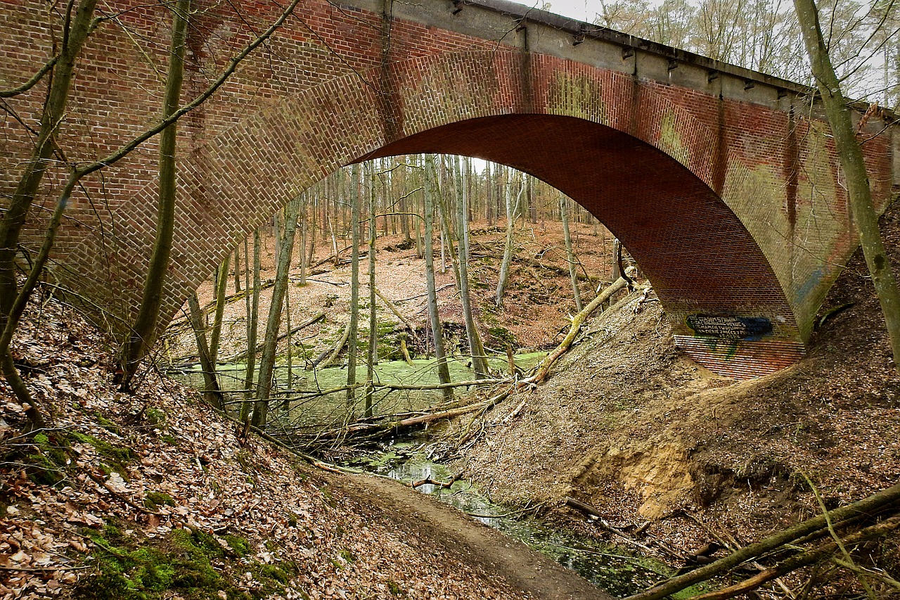 the viaduct  the brook  forest free photo