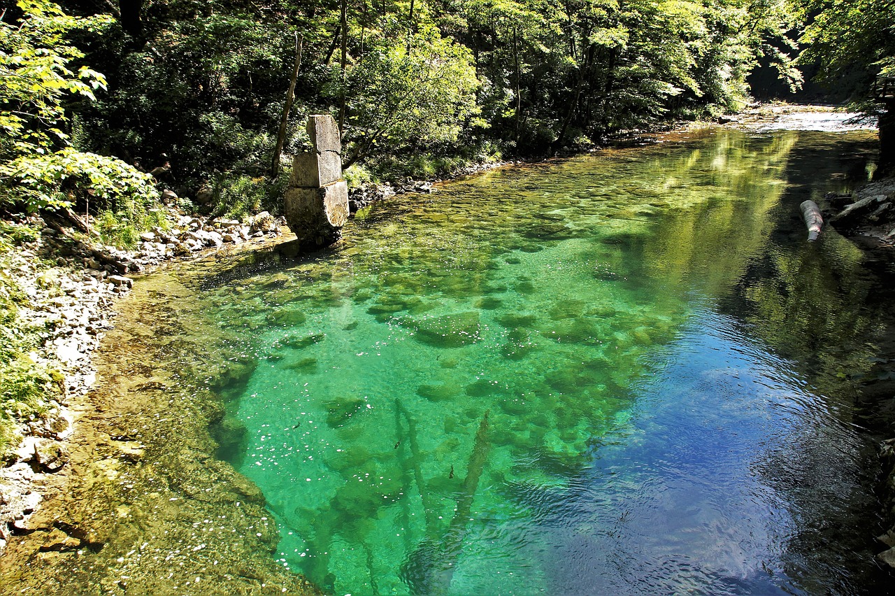 the vintgar gorge vintgar slovenia free photo