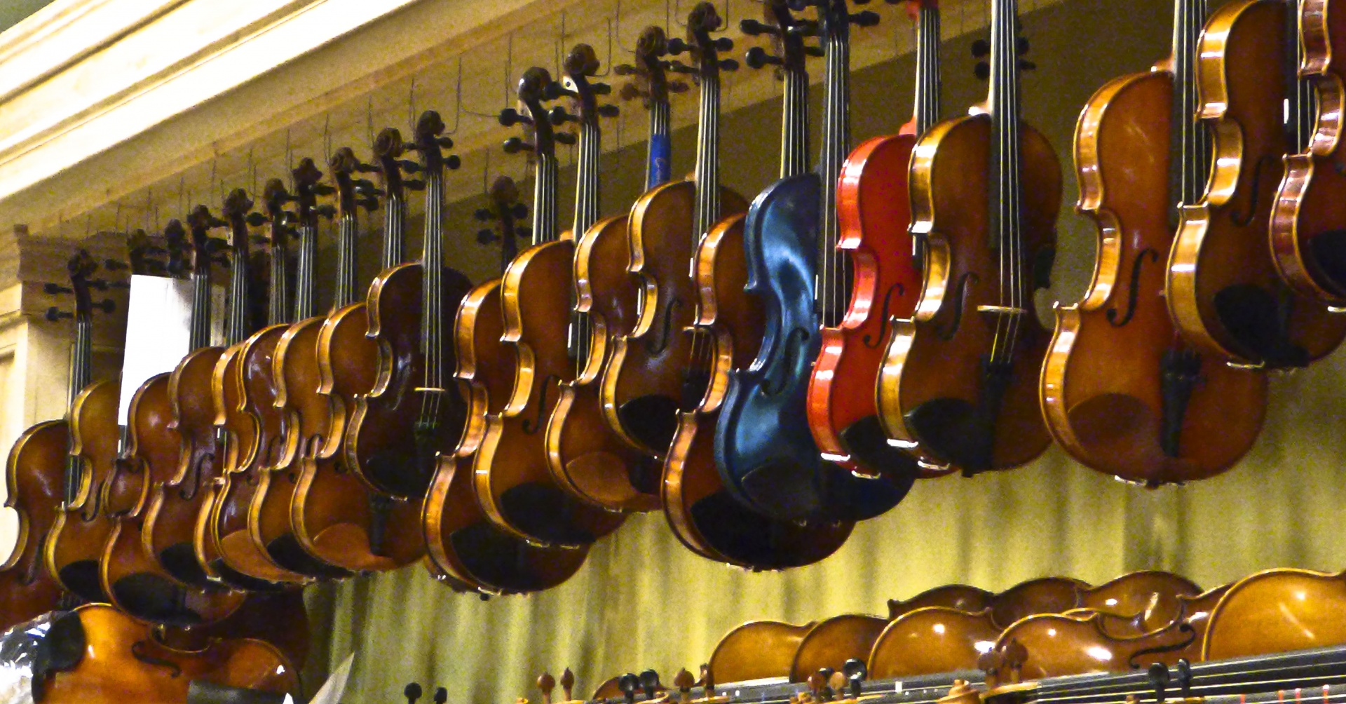violin violins strings free photo