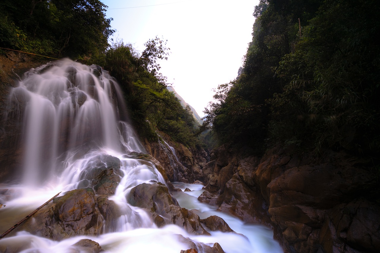 the waterfall forest streams free photo