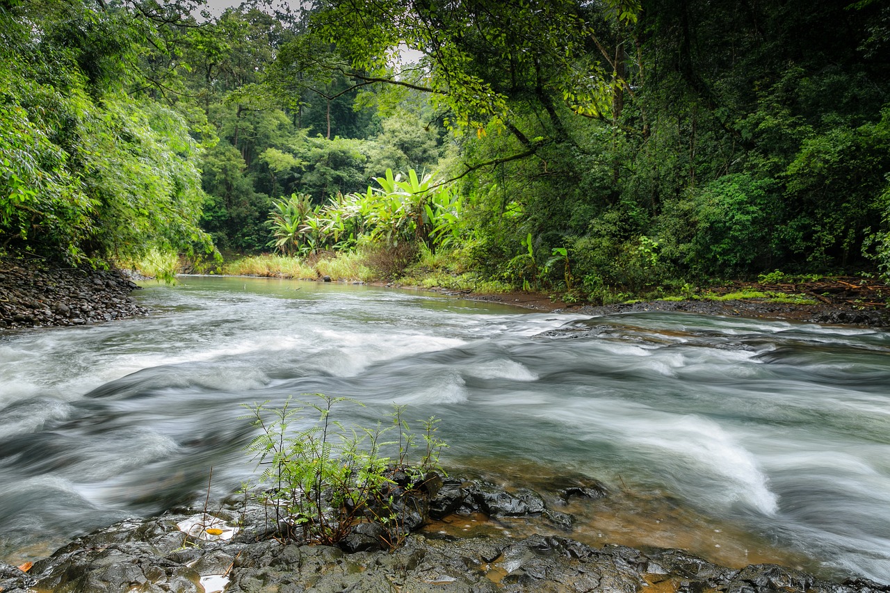 the waterfall forest streams free photo