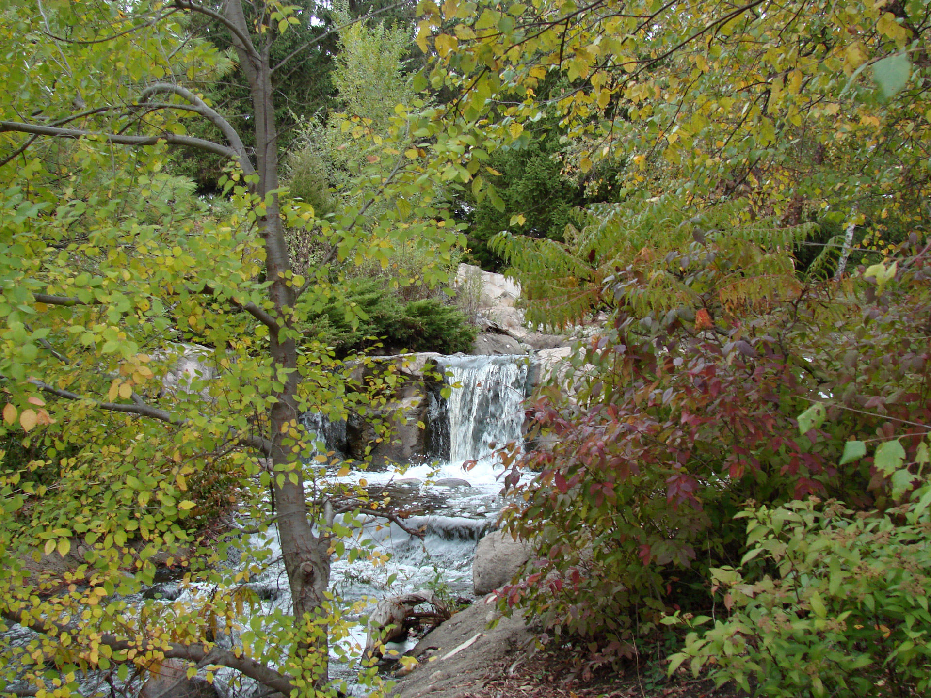 waterfall colors fall free photo