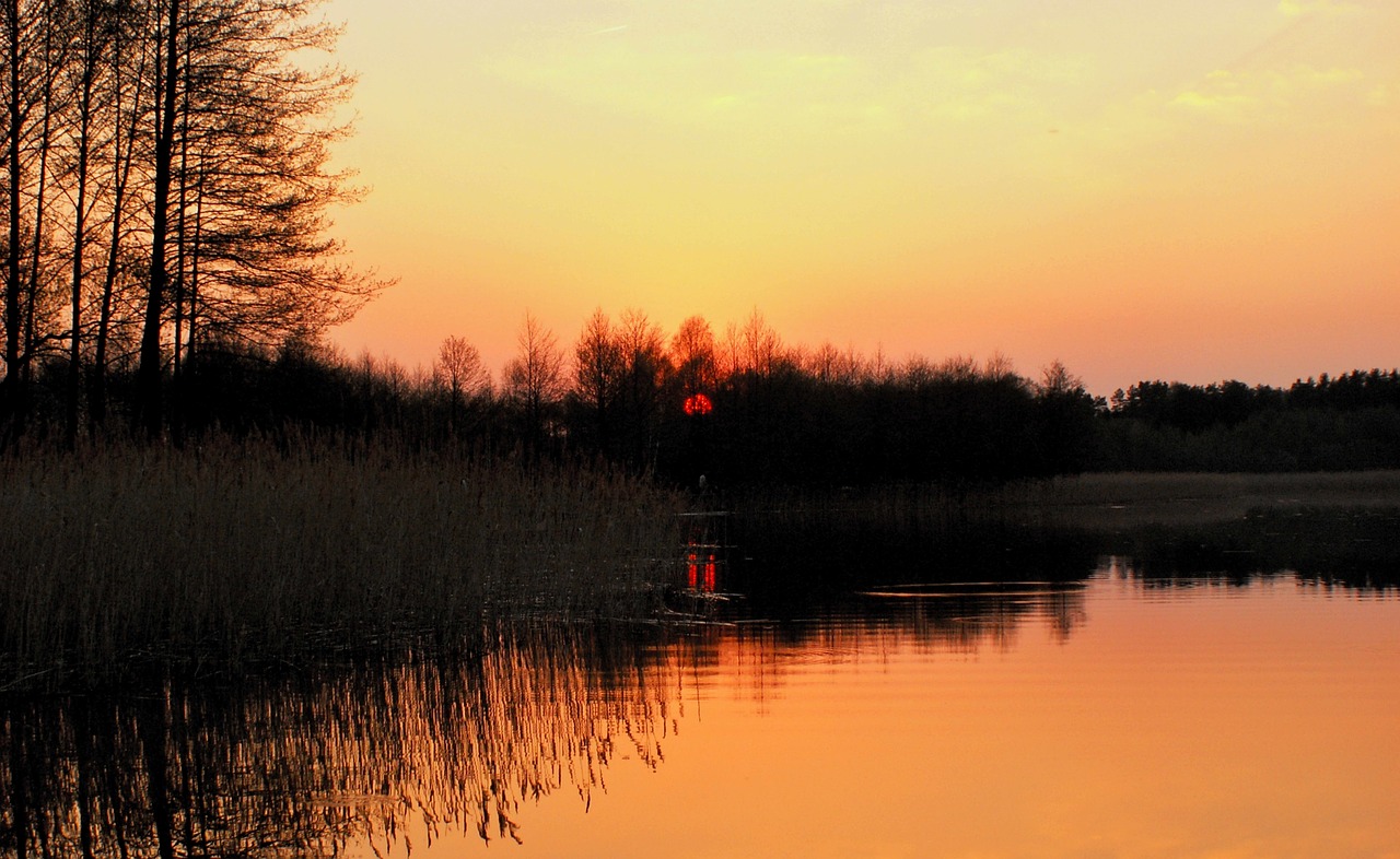 the wave is reflected lake monolithic part of the waters free photo