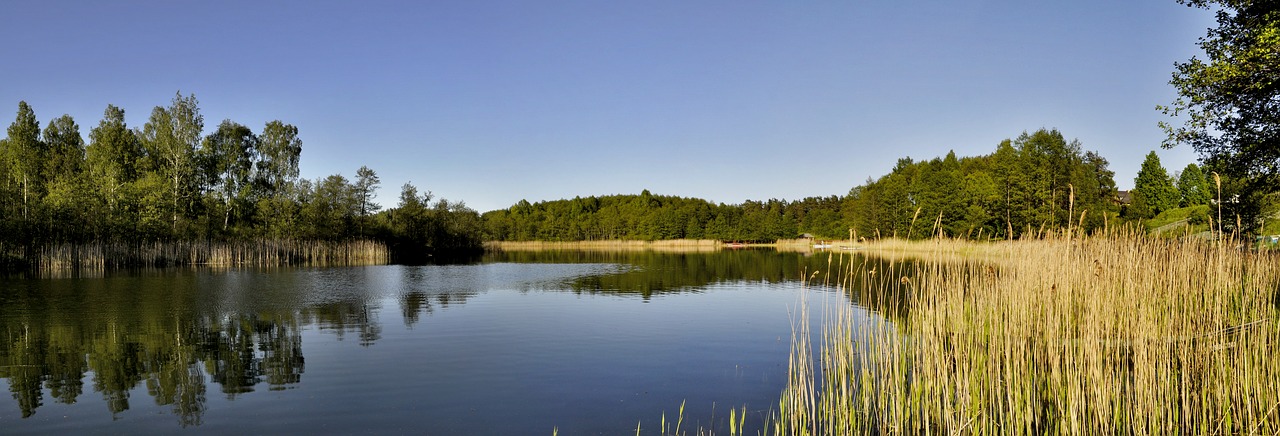 the wave is reflected monolithic part of the waters nature free photo