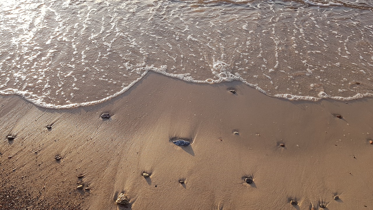 the waves  sea  sand free photo