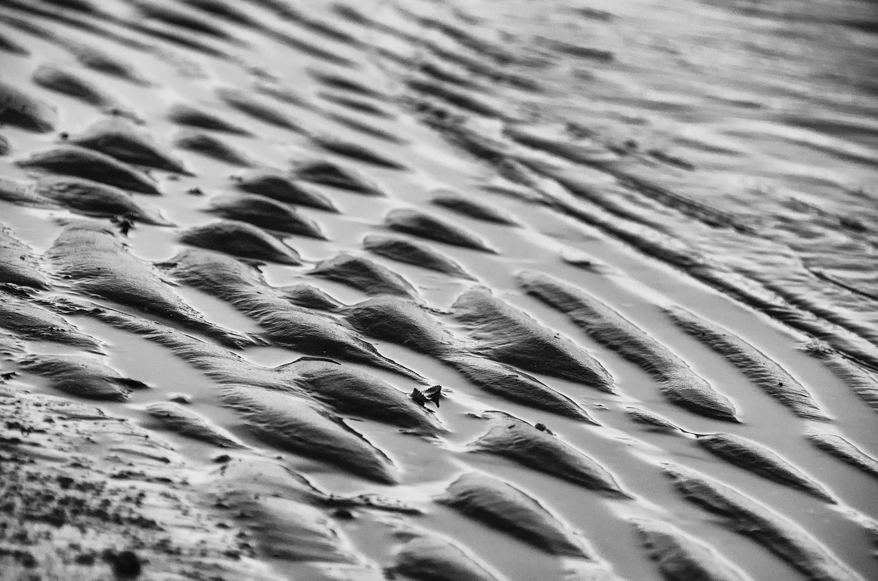 the waves  sand  texture free photo
