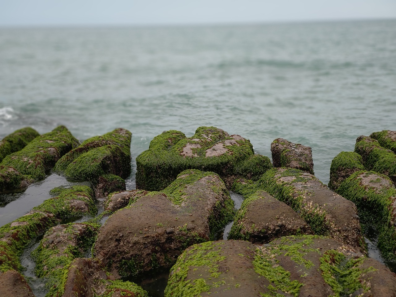 the waves  reef rock  sea free photo