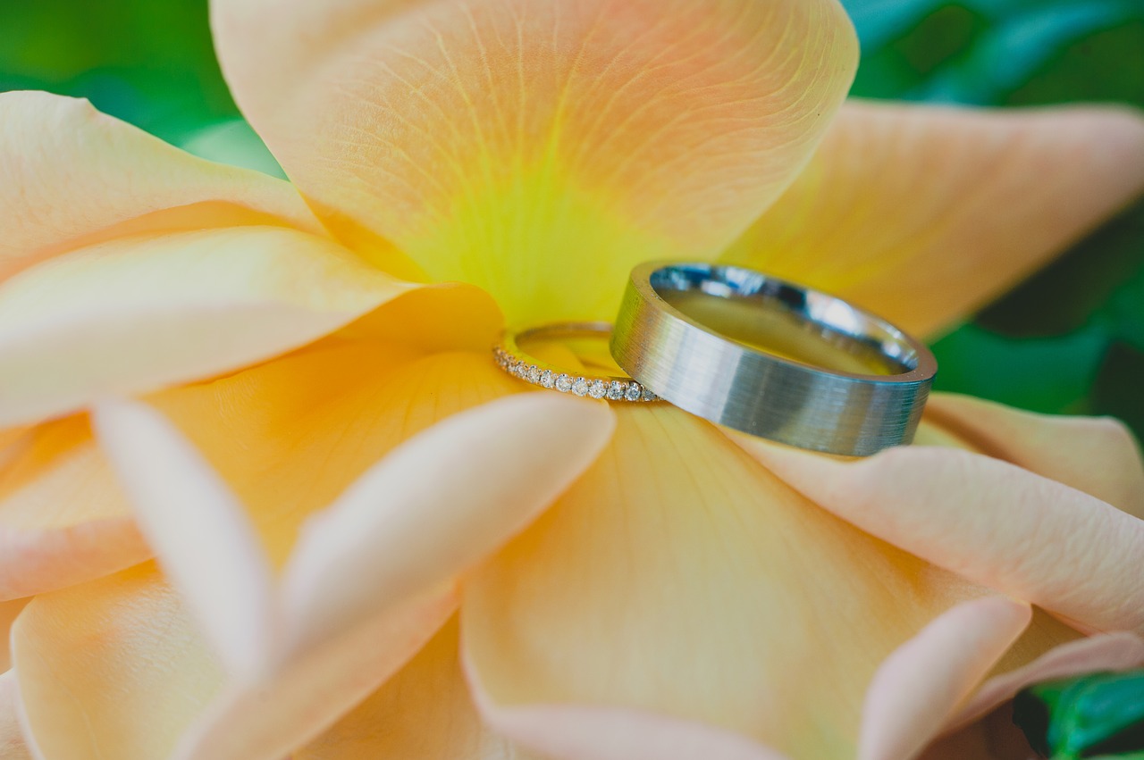 the wedding rings wedding wedding rings free photo