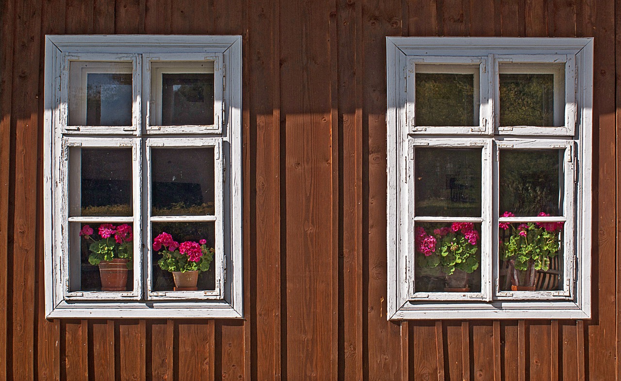 the window old external wall free photo