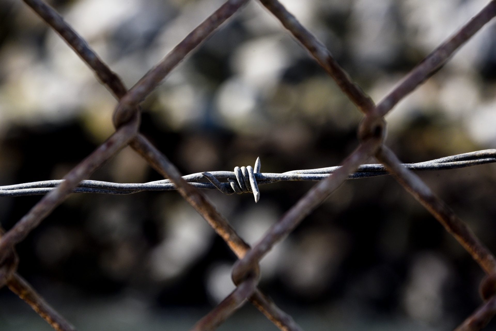 rusted wire chain free photo