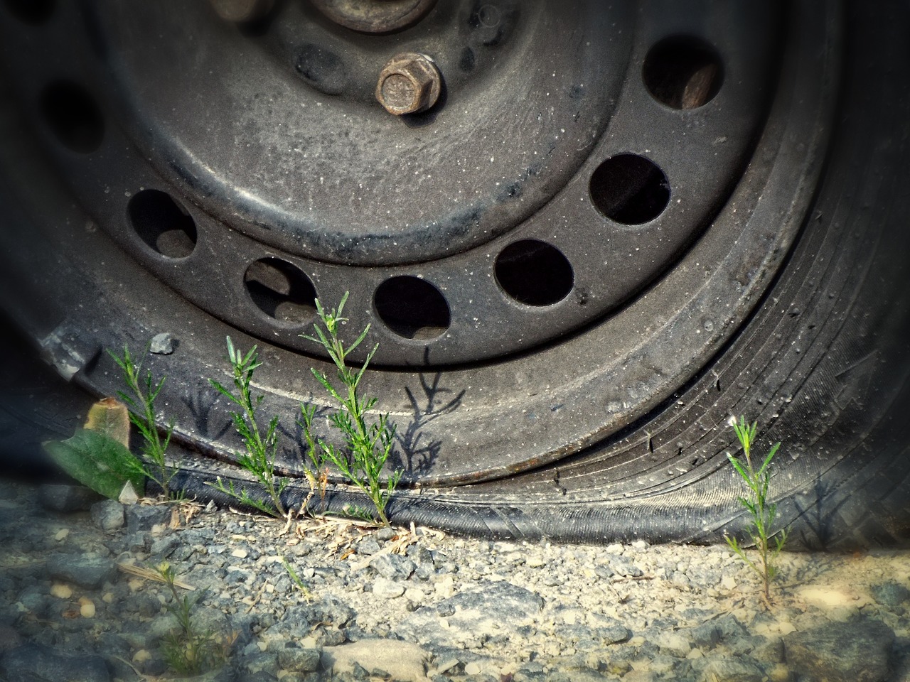 the wreck of the tire new life free photo