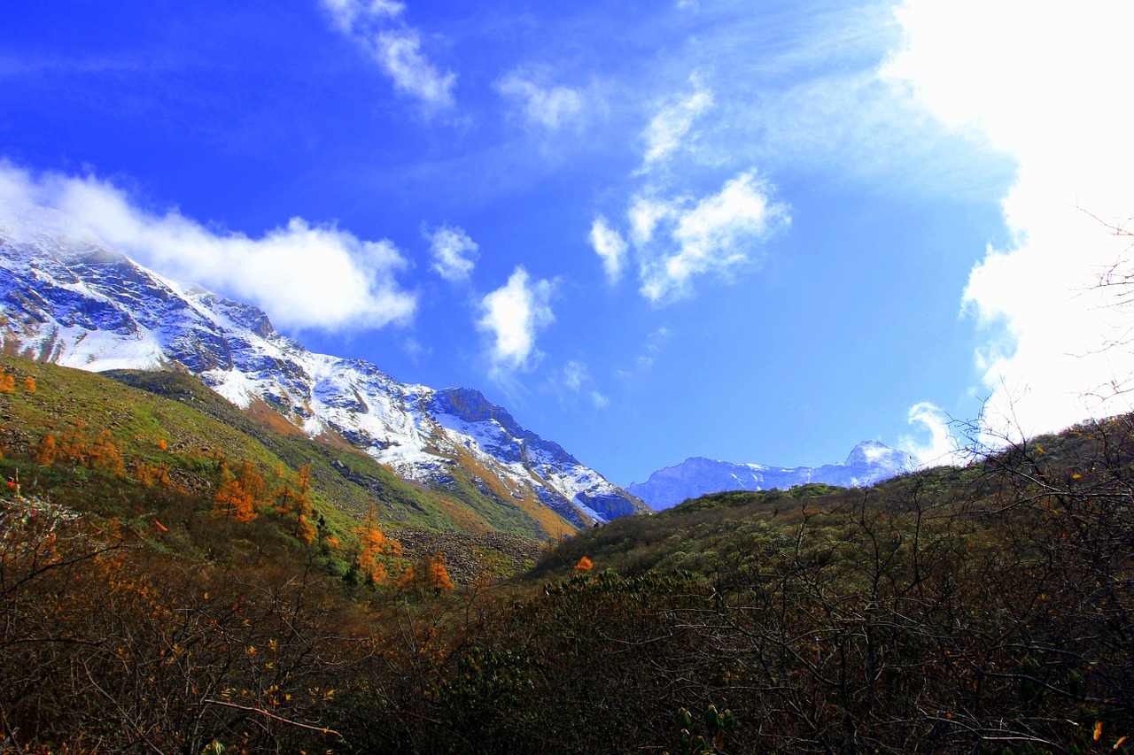 the yellow dragon jiuzhaigou road free photo