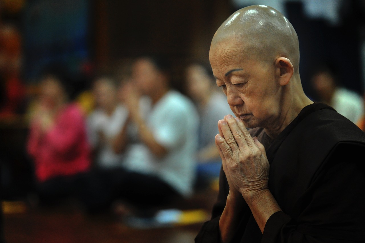 theravada buddhism buddhist nun free photo