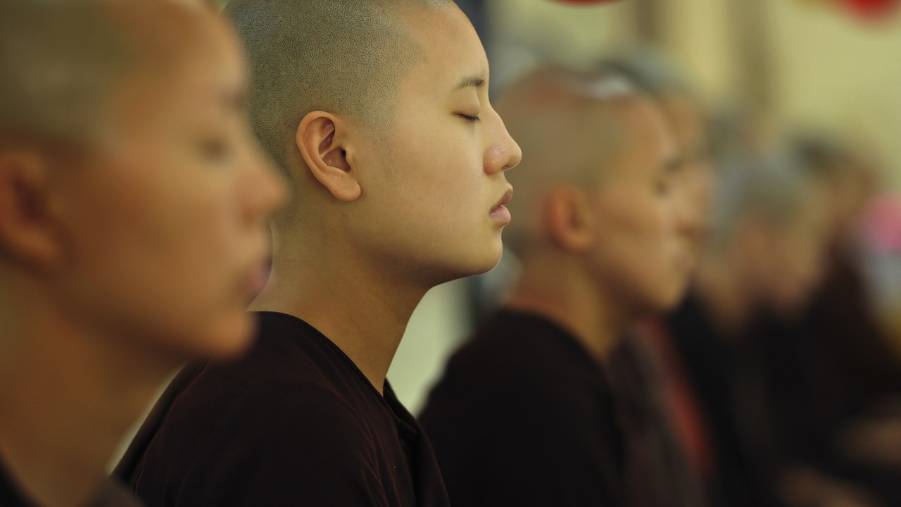 theravada buddhism buddhist nuns free photo