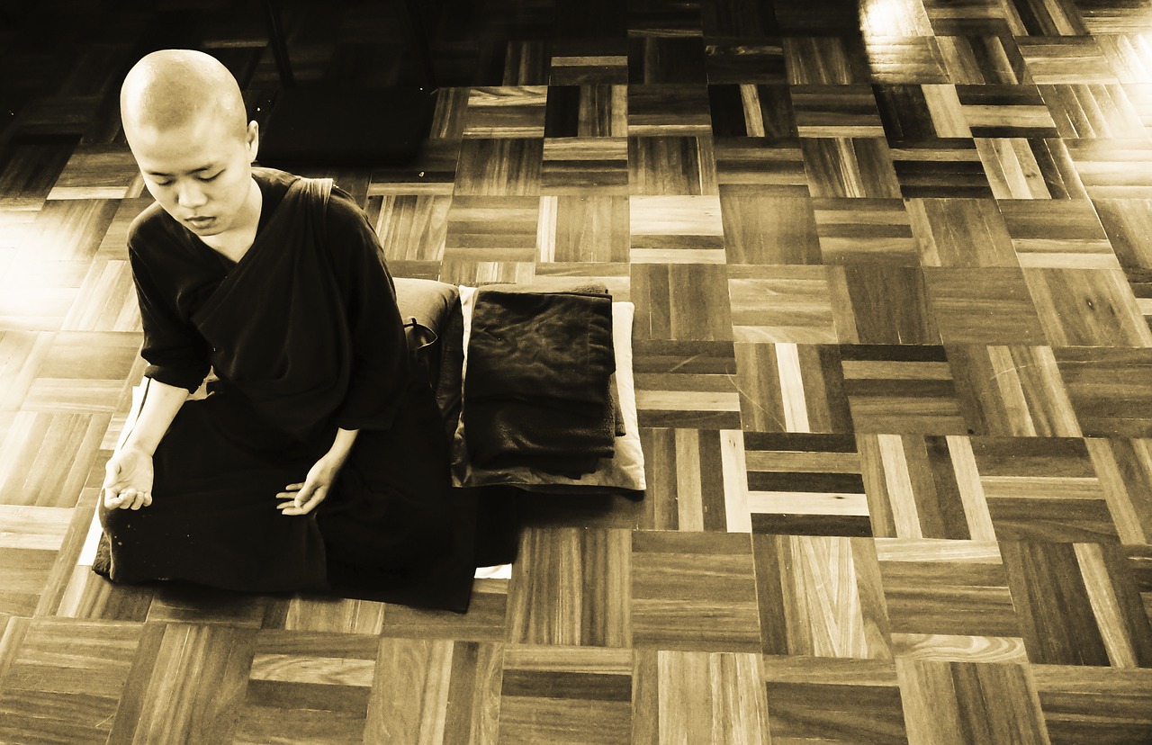 theravada buddhism meditation nun meditate free photo