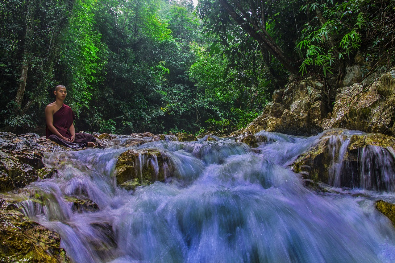 theravada buddhism monk at nature meditation free photo