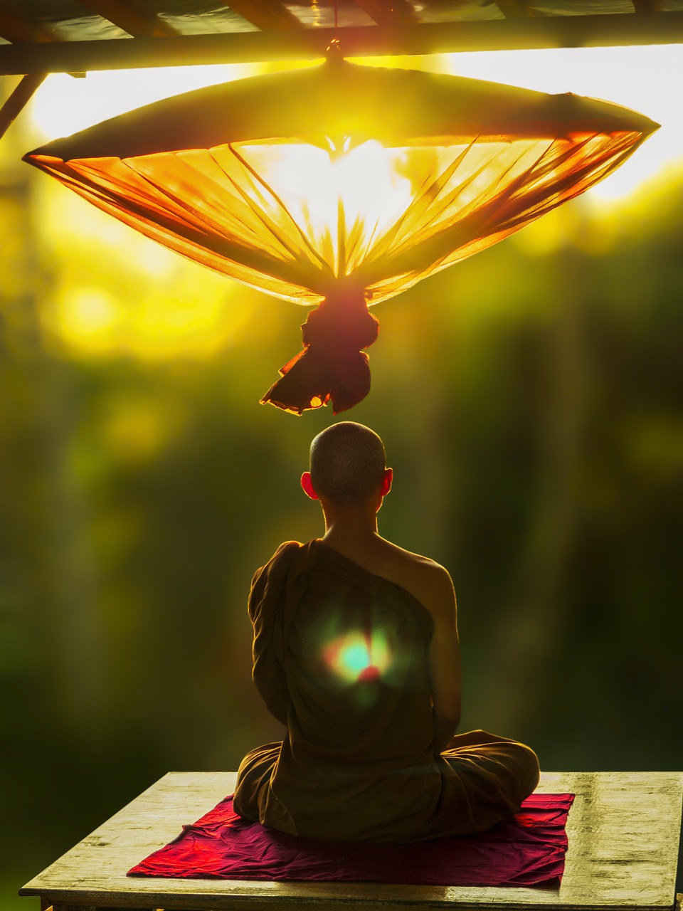 theravada buddhism meditate umbrella free photo