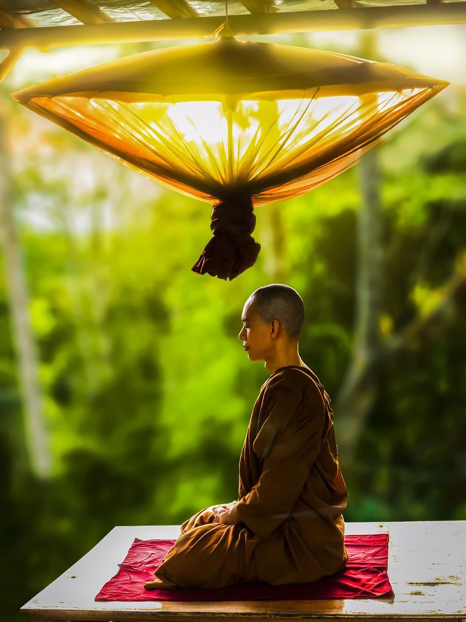 theravada buddhism monk meditating free photo